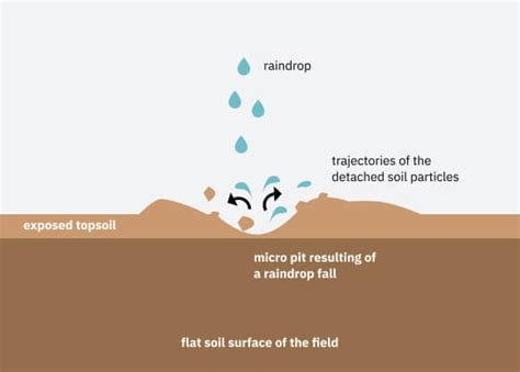 Water Erosion: Different Types And Prevention Measures