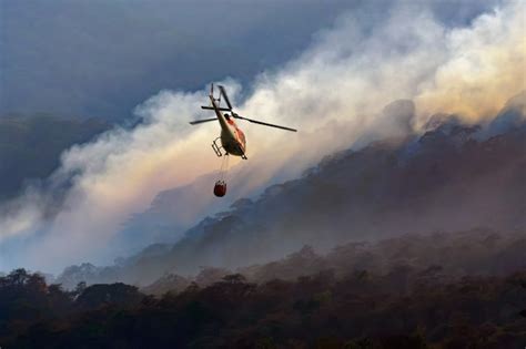 Premium Photo | Fire fighting helicopter dropping water on forest fire