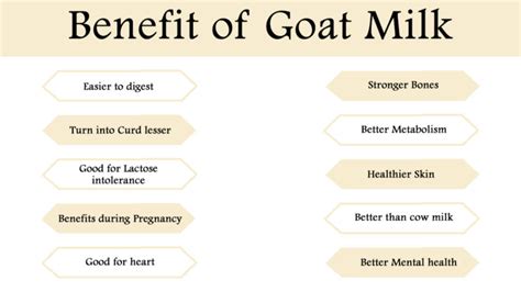 Benefits of Goat Milk | Gifts And Free Advice