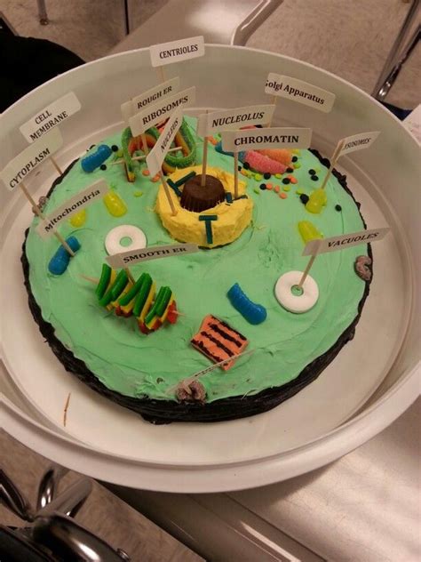 Animal Cell Cake With Labels - Edible Cell Project Chocolate Chip ...