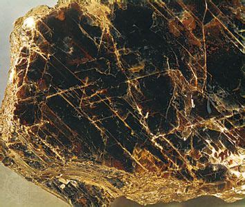 Phlogopite | Mica, Silicate, Magnesium | Britannica