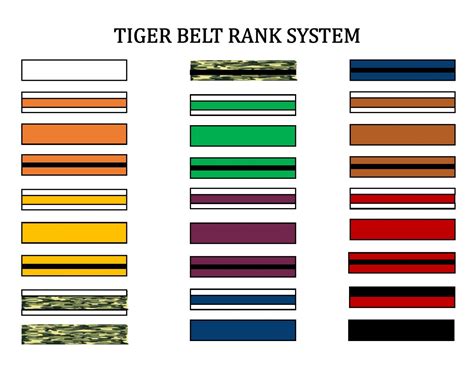 Belt Rank Systems! | Millcreek Karate