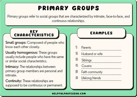 Primary Groups in Sociology (Definition & 10 Examples) (2024)