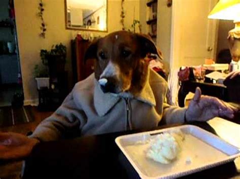 Can Dogs Eat Mashed Potatoes?