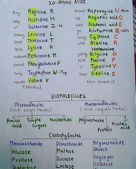 List of Amino acids __its all About to help you so don't answer please? - EduRev NEET Question