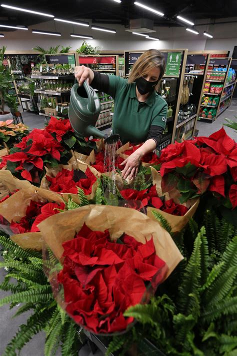 Dobbies is now open in Stockbridge - The Edinburgh Reporter