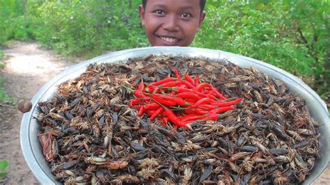 Yummy Food: 1,400 Fried Cricket Recipe | Edible Insects, Eating ...