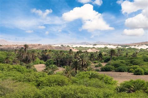 Desert and beach at the same time? Yes, in Boa Vista it's possible ...