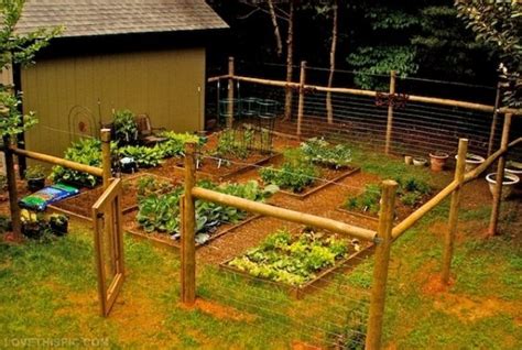 27 Cheap DIY Fence Ideas for Your Garden, Privacy, or Perimeter