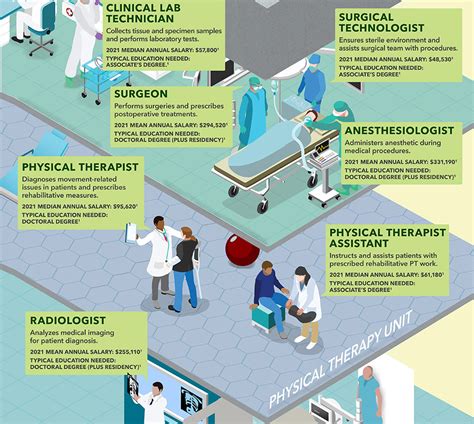 Who's Who in a Hospital? Your Visual Guide to Medical Jobs