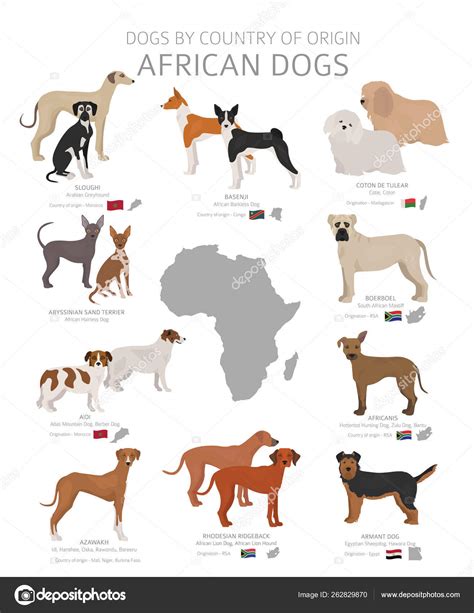 Dogs by country of origin. African dog breeds. Shepherds, huntin ...