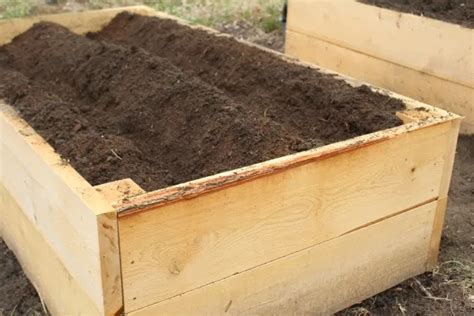 Growing Potatoes in Raised Beds | Growing potatoes, Raised beds, Growing