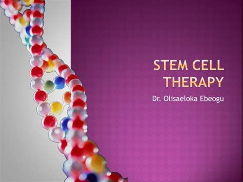 PPT - STEM CELL THERAPY PowerPoint Presentation, free download - ID:7105951