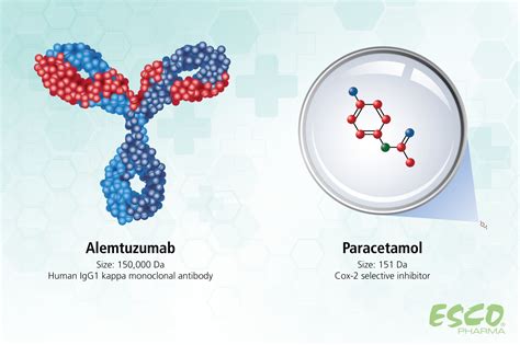 Large Molecule