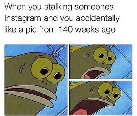 Stalking - Meme by Truly_Bliss :) Memedroid