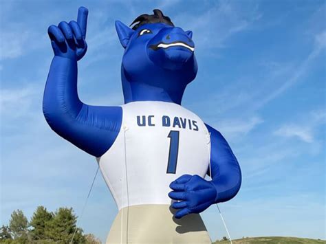 UC Davis 20ft Inflatable Mascot!