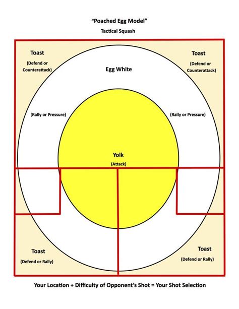 Egg Model for Squash Tactics #LearnTennis | Squash game, Squash, Squash ...