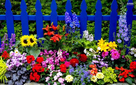 Summer Flowers Screensavers and Wallpaper - WallpaperSafari