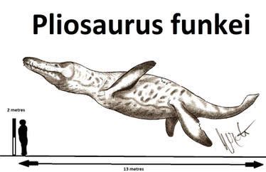 Explore the Best Pliosaurus Art | DeviantArt