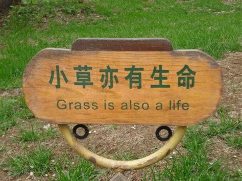 Funny Signs - From China - Gallery | eBaum's World