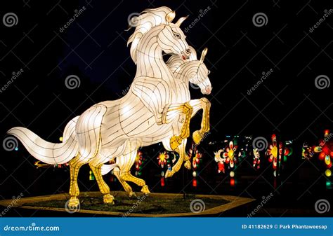 Twin Horse in Hat Yai Lantern Festival Stock Image - Image of colorfu ...