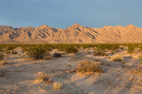 Mojave Desert Travel Coverage - The New York Times