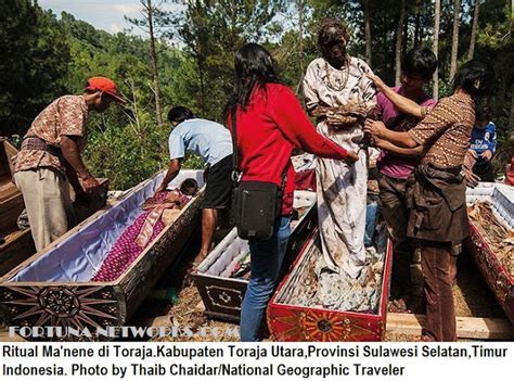 Ritual Ma'nene,Proses Adat & Budaya Mengganti Pakaian Mayat Nenek Moyang Suku Toraja di Tanah ...