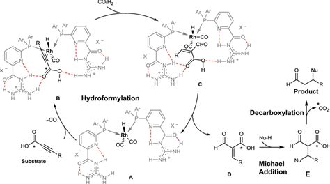 Proposed reaction mechanism. It includes Rh-catalyzed hydroformylation... | Download Scientific ...