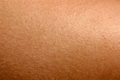 Free photo: Human skin - Closeup, Human, Skin - Free Download - Jooinn