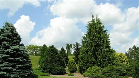 Hidden Lake Gardens | Michigan