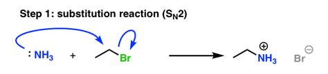 Alkylation of Amines (Sucks!) – Master Organic Chemistry