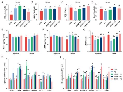 Effects of dietary GSH supplementation on antioxidant capacity in ...