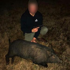 Texas Hog Hunt | AfricaHunting.com