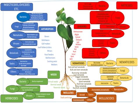 Exploring Sustainable Alternatives To Chemical Pesticides In Agriculture