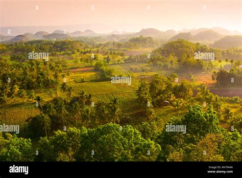 Sunrise over the Chocolate Hills Bohol The Philippines Stock Photo - Alamy