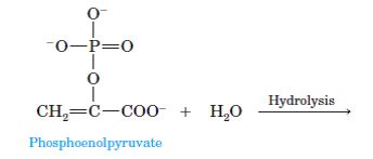 Solved: We will encounter the following molecule in our discussion ...