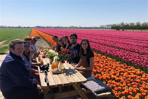 Tulip Tour and Windmills from Amsterdam - Incl Lunch + Tulip Farm 2021