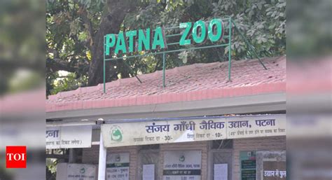 Patna Zoo closed after 6 peafowls die | Patna News - Times of India