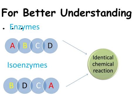 Isoenzymes | PPT