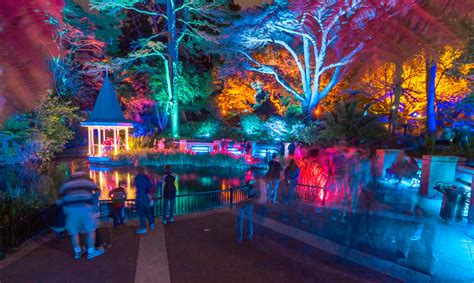 Light Show at the Botanical Gardens, Wellington, New Zeala… | Flickr