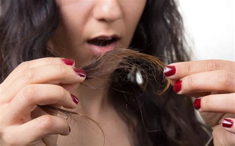 Do Split Ends Stop Hair Growth? | Nope! Here's Why