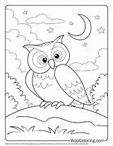 100  Owl coloring Pages Free PDF To Print Woo Coloring sketch template