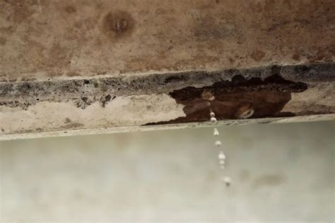 How to Fix Leaky Pipes Like a Pro | Sin City Plumbing