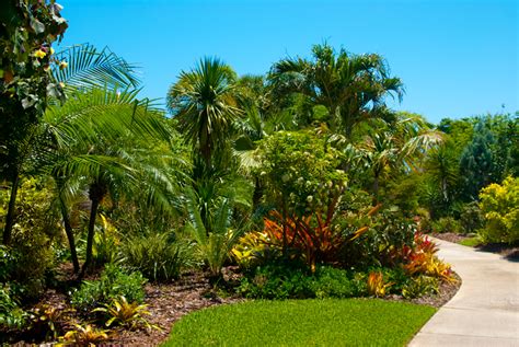 Mounts Botanical Garden – Florida Hikes