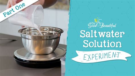 Saltwater Solution Experiment—Part 1 | Chemistry | The Good and the ...