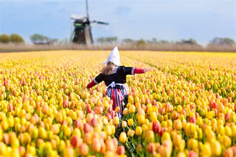 Explore The Netherlands Tulips | Visit the Netherlands | Holland