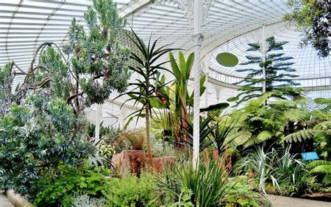 Glasgow Botanic Gardens: Plant-Filled Paradise In Glasgow's West End