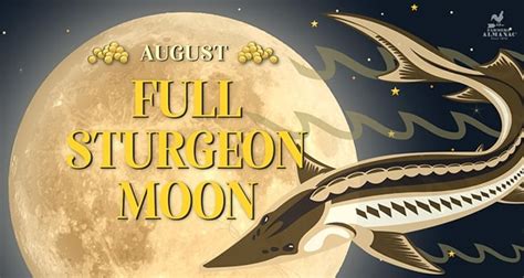 Full Moon August 2025 – Sturgeon Moon And Alternative Names - Farmers ...