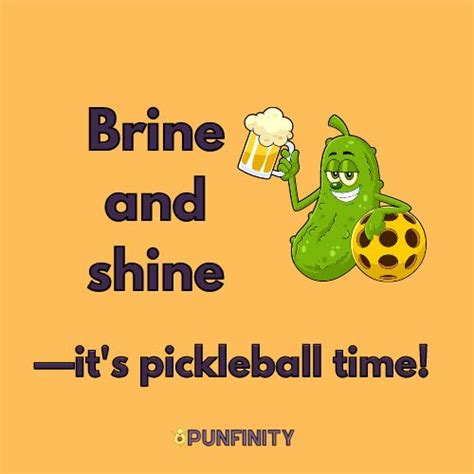 219+ Funny Pickleball Puns for an Ace of Laughter