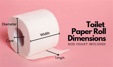 Toilet Paper Roll Dimensions (Size Chart Included), toilet paper - okgo.net